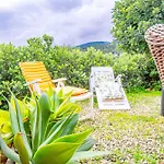 Apartment Con Giardino -